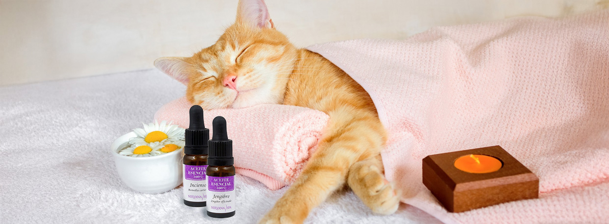 Nirvana Spa, Aceites Esenciales